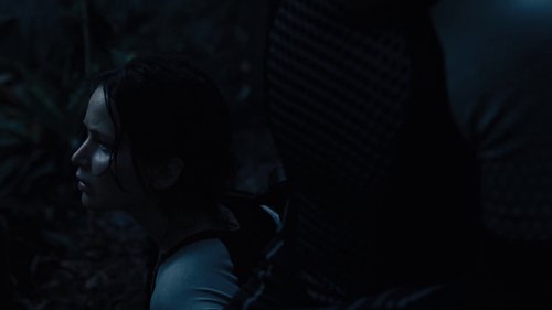 the_hunger_games:_catching_fire_frame_1738694441.132414.jpg
