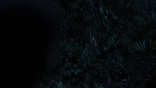 the_hunger_games:_catching_fire_frame_1738694441.4438772.jpg