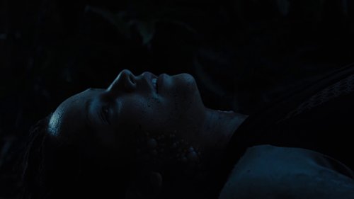 the_hunger_games:_catching_fire_frame_1738694442.6717875.jpg