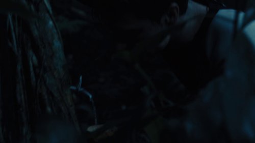 the_hunger_games:_catching_fire_frame_1738694443.2302978.jpg