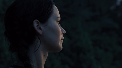 the_hunger_games:_catching_fire_frame_1738694445.025971.jpg