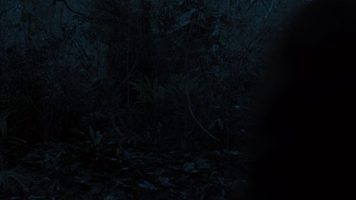 the_hunger_games:_catching_fire_frame_1738694452.3754056.jpg