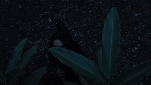 the_hunger_games:_catching_fire_frame_1738694452.8603055.jpg