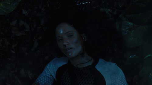 the_hunger_games:_catching_fire_frame_1738694453.1242363.jpg