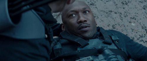 the_hunger_games:_mockingjay_-_part_2_frame_1738694583.425097.jpg