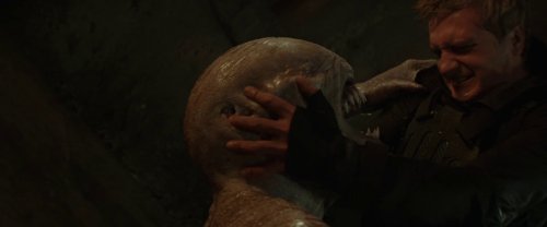 the_hunger_games:_mockingjay_-_part_2_frame_1738694588.5149868.jpg
