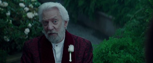 the_hunger_games:_mockingjay_-_part_2_frame_1738694593.3467243.jpg