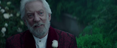 the_hunger_games:_mockingjay_-_part_2_frame_1738694593.6176982.jpg