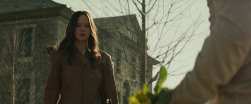 the_hunger_games:_mockingjay_-_part_2_frame_1738694596.8018577.jpg