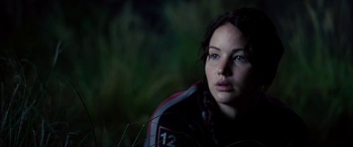 the_hunger_games_frame_1738666663.1304958.jpg