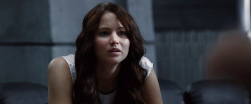 the_hunger_games_frame_1738666665.2284324.jpg