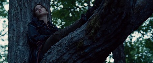 the_hunger_games_frame_1738666674.2751236.jpg