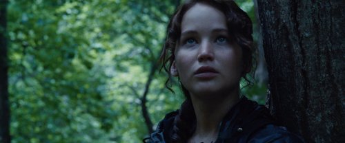 the_hunger_games_frame_1738666676.5196996.jpg