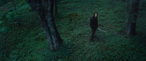 the_hunger_games_frame_1738666681.9244635.jpg