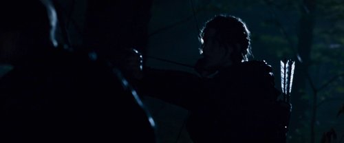 the_hunger_games_frame_1738666687.6624863.jpg