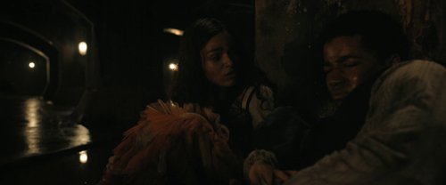 the_hunger_games:_the_ballad_of_songbirds_&_snakes_frame_1738694655.7624.jpg
