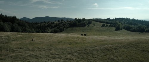 the_hunger_games:_the_ballad_of_songbirds_&_snakes_frame_1738694672.7625608.jpg