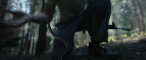 the_hunger_games:_the_ballad_of_songbirds_&_snakes_frame_1738694674.3217487.jpg