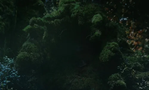 the_legend_of_ochi_frames_frame_104.webp