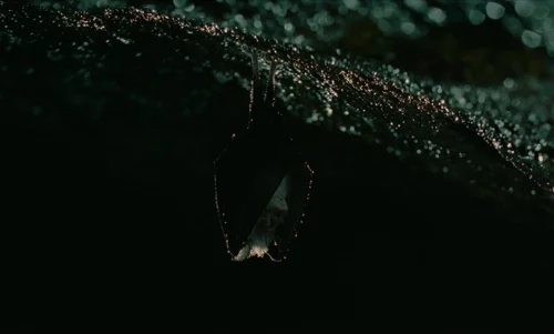 the_legend_of_ochi_frames_frame_373.webp