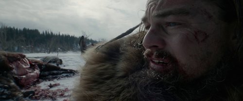 the_revenant_frame_1738666342.514715.jpg