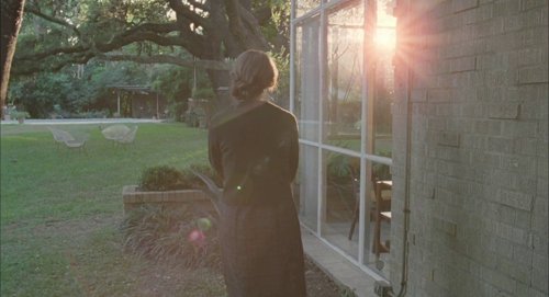the_tree_of_life_frame_1748478941.7603602.jpg