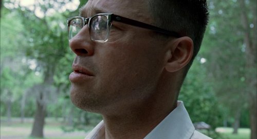 the_tree_of_life_frame_1748478941.99851.jpg