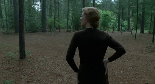 the_tree_of_life_frame_1748478944.100538.jpg