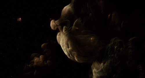 the_tree_of_life_frame_1748478944.7339969.jpg