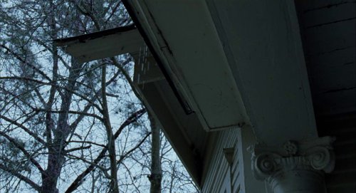 the_tree_of_life_frame_1748478949.4270797.jpg