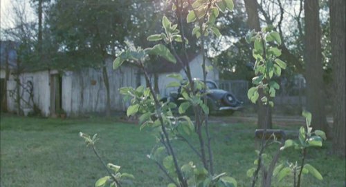 the_tree_of_life_frame_1748478950.7052557.jpg