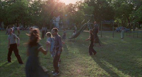 the_tree_of_life_frame_1748478954.044498.jpg