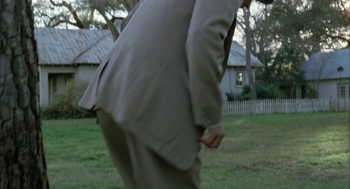 the_tree_of_life_frame_1748478954.40319.jpg