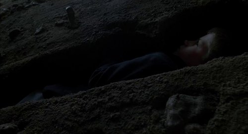 the_tree_of_life_frame_1748478957.2311983.jpg