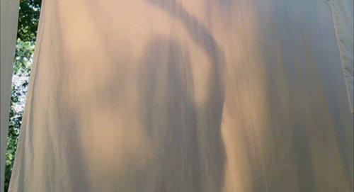 the_tree_of_life_frame_1748478957.6188436.jpg