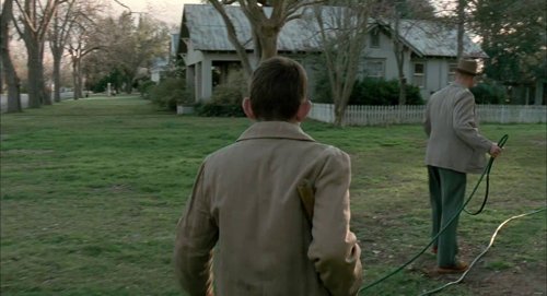 the_tree_of_life_frame_1748478957.7970479.jpg