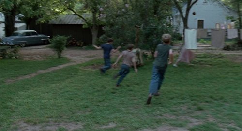 the_tree_of_life_frame_1748478960.0620947.jpg