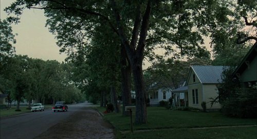 the_tree_of_life_frame_1748478960.2805645.jpg