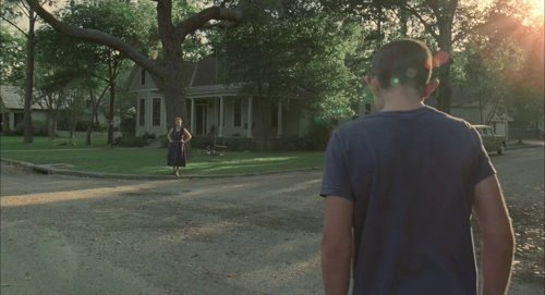 the_tree_of_life_frame_1748478962.5445714.jpg
