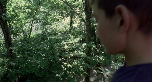 the_tree_of_life_frame_1748478963.900972.jpg