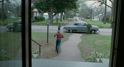 the_tree_of_life_frame_1748478964.1260877.jpg