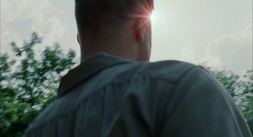 the_tree_of_life_frame_1748478967.6283882.jpg