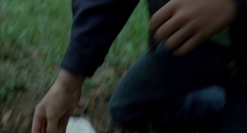the_tree_of_life_frame_1748478968.58831.jpg