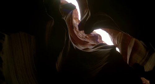 the_tree_of_life_frame_1748478968.9525797.jpg