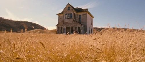 tideland_frame_1738665031.4517741.webp