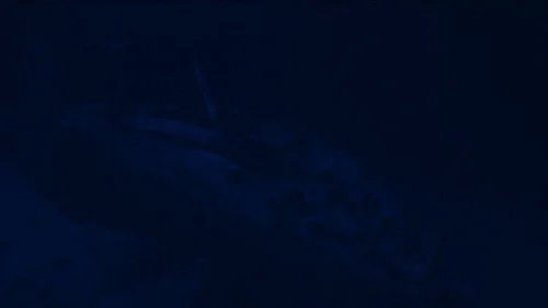 titanic_frame_1738666452.2322848.webp