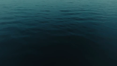 twenty_one_pilots___overcompensate_official_video_frame_2.webp
