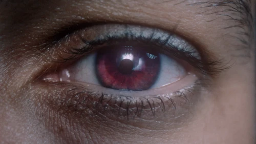 twenty_one_pilots_-_the_contract_(official_video)_frames_frame_8.webp