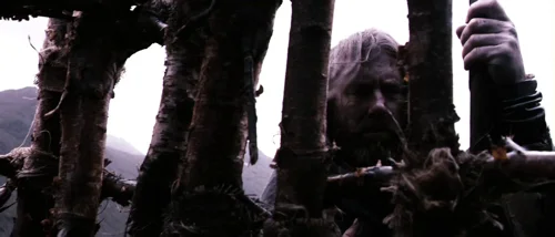 valhalla_rising_frame_1749598480.3000205.webp