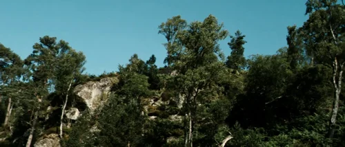 valhalla_rising_frame_1749598488.5922582.webp